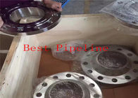 304L Material Large Diameter Forged Weld Neck Flange C21 C22.8 P245GH P250GH API/CE Approval